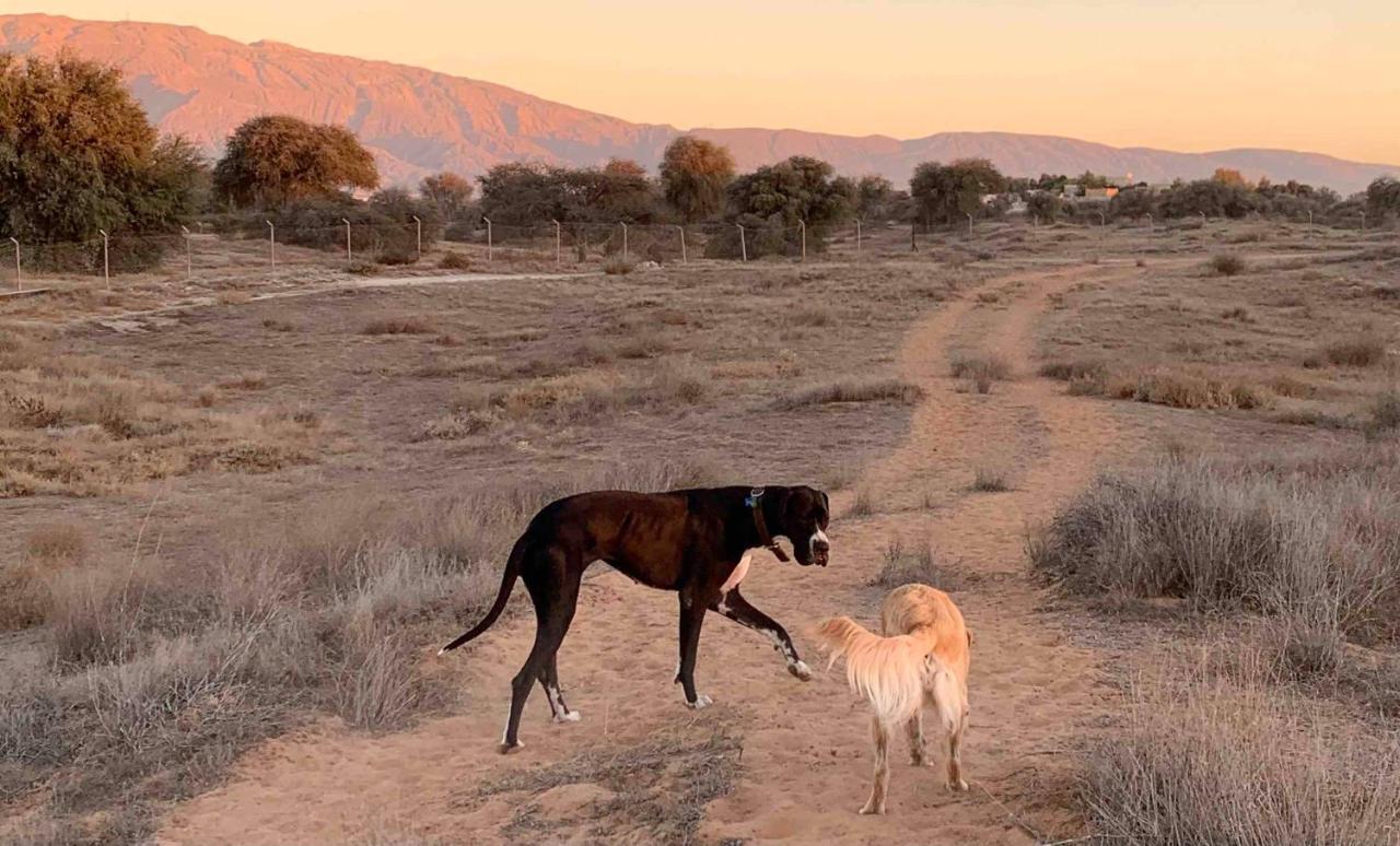 Rak Glamping Hotell Ras al-Khaimah Eksteriør bilde