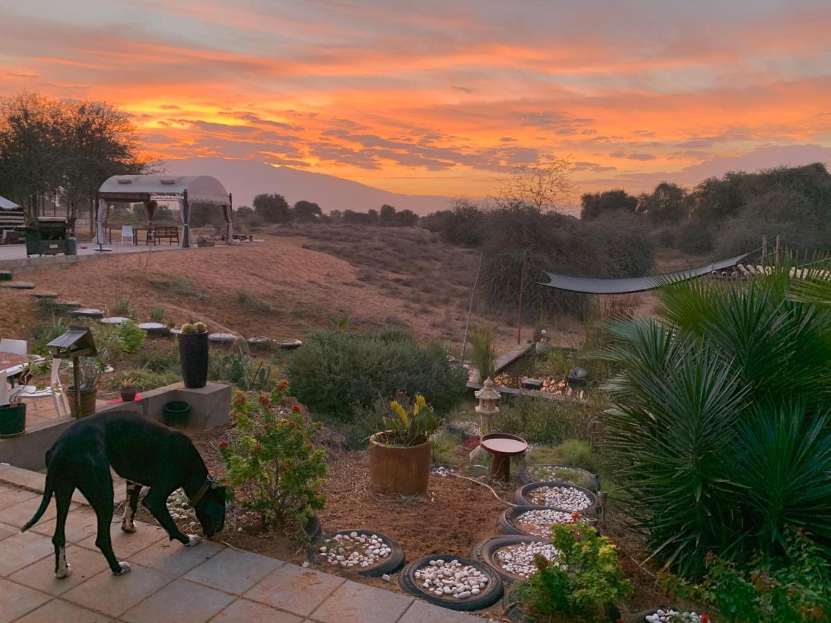 Rak Glamping Hotell Ras al-Khaimah Eksteriør bilde
