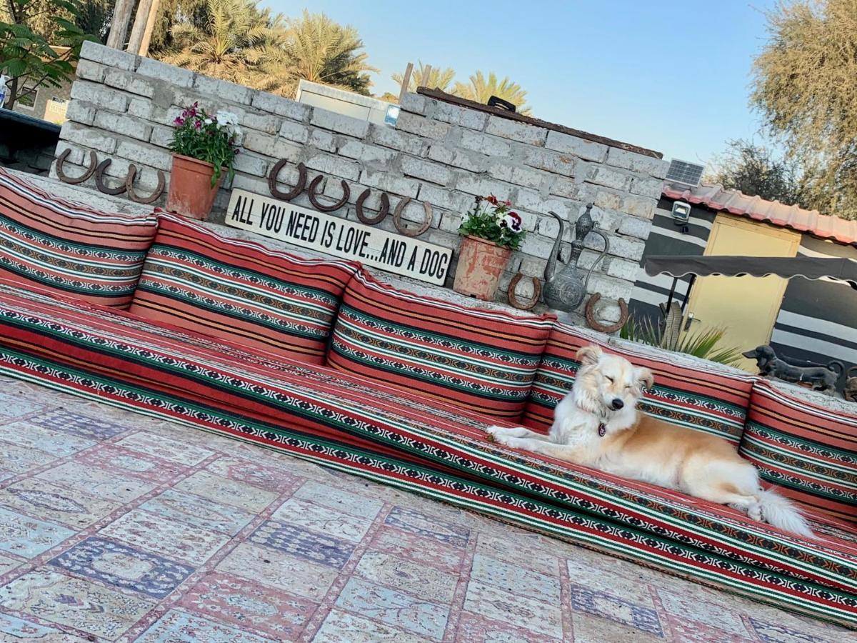 Rak Glamping Hotell Ras al-Khaimah Eksteriør bilde