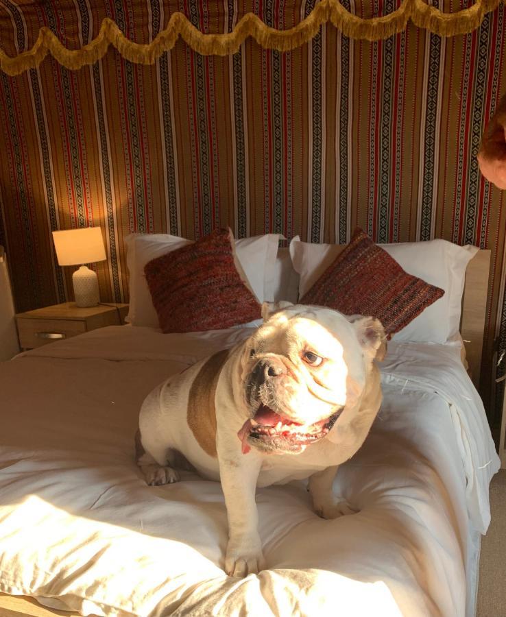 Rak Glamping Hotell Ras al-Khaimah Eksteriør bilde