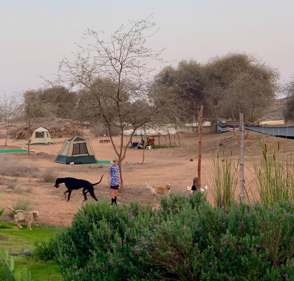 Rak Glamping Hotell Ras al-Khaimah Eksteriør bilde