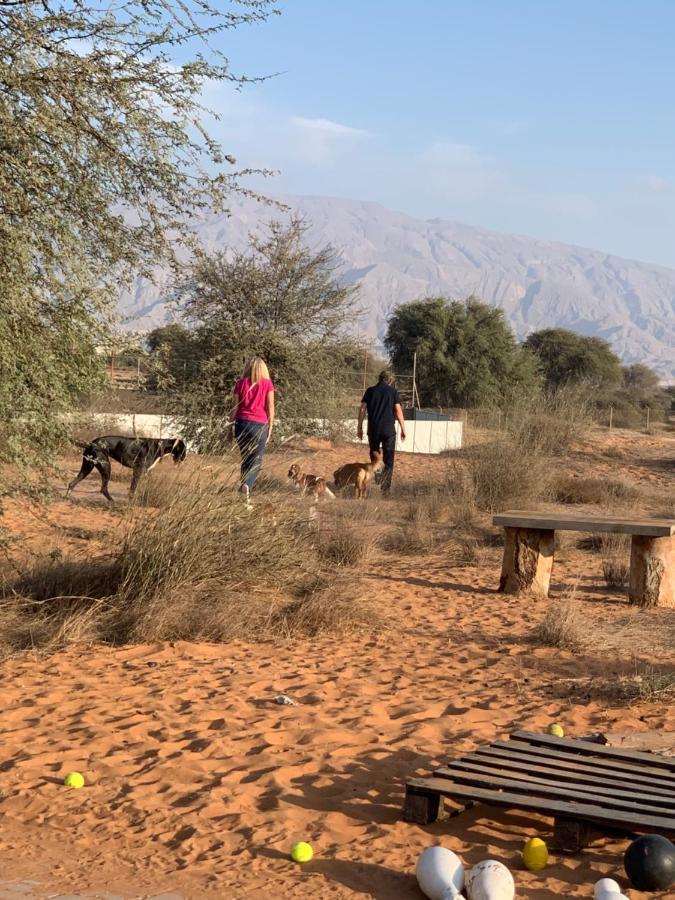 Rak Glamping Hotell Ras al-Khaimah Eksteriør bilde