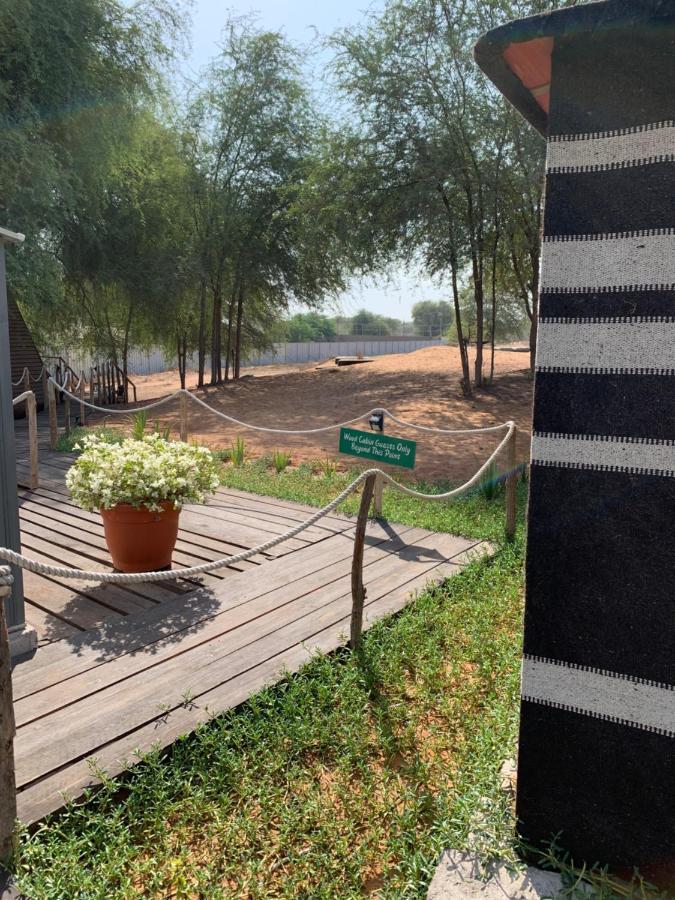 Rak Glamping Hotell Ras al-Khaimah Eksteriør bilde
