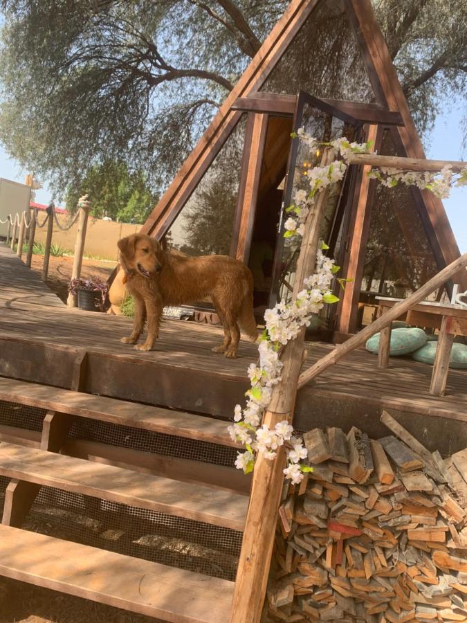 Rak Glamping Hotell Ras al-Khaimah Eksteriør bilde